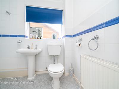 Picture 23
